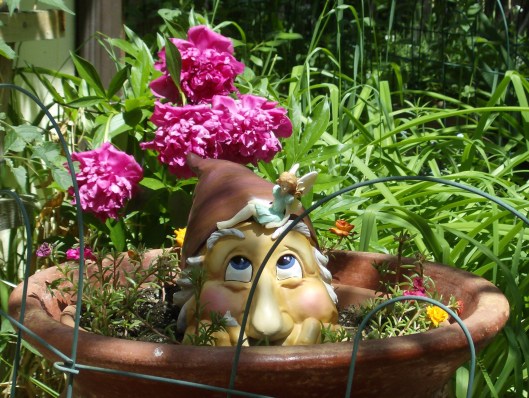 Gnome Hiding In Pot