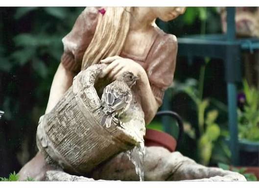 Getting a Drink From the Fountain