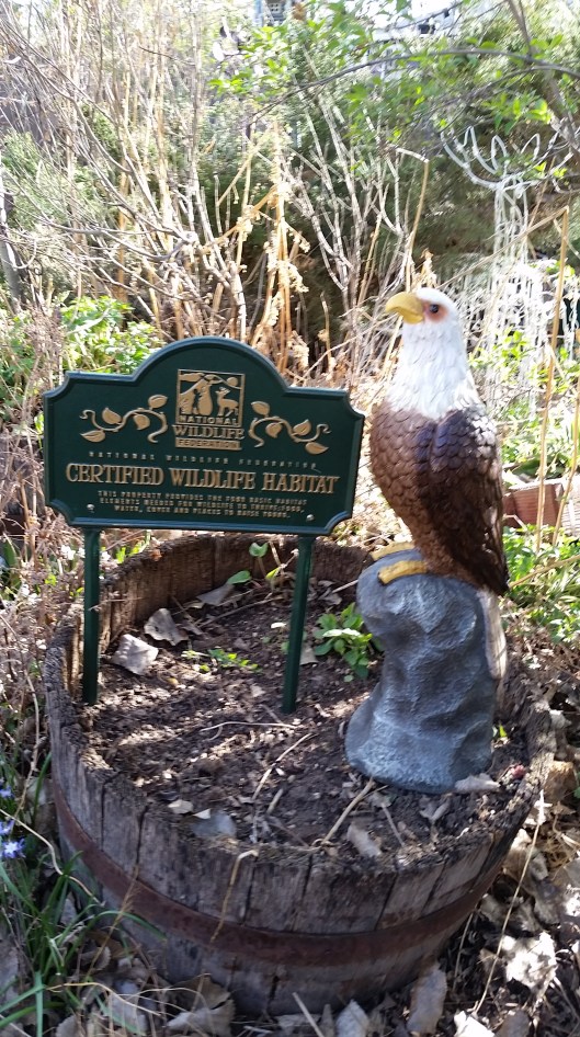 Newest Wildlife Habitat Sign With Watchful Guardian