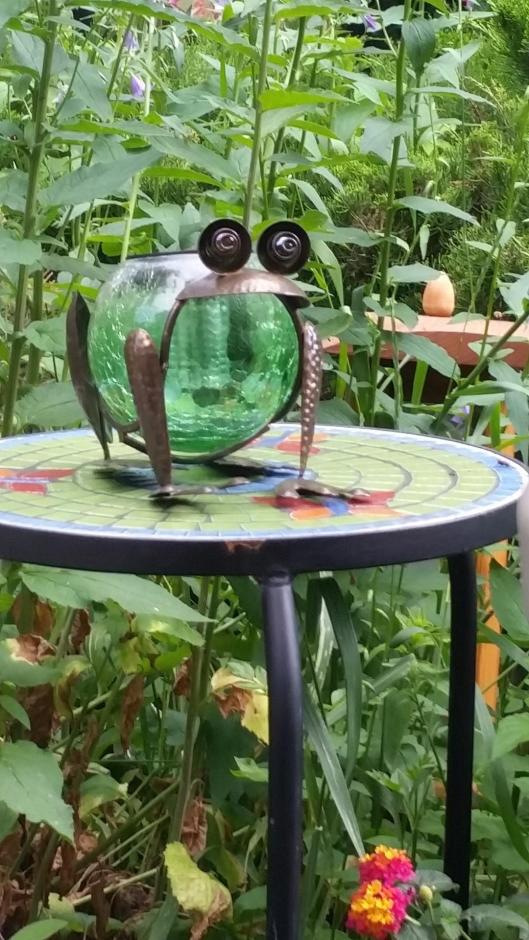 Solar Frog Lantern
